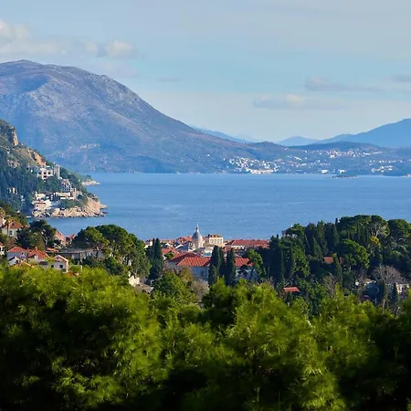 Hedera Estate Hedera A44