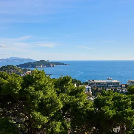 Hedera Estate Hedera A44