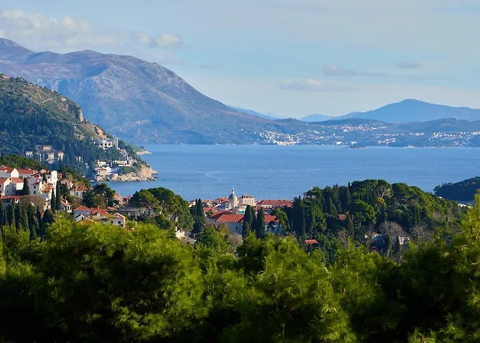 Hedera Estate Hedera A44